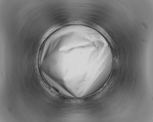 X0000113121002200909181645