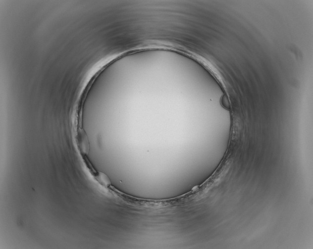 X0000113121003200909181645