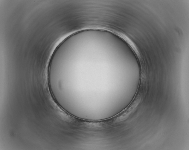 X0000113121004200909181645