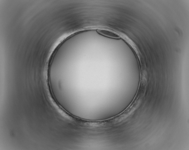 X0000113121005200909181645