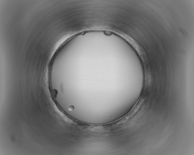 X0000113121006200909181645