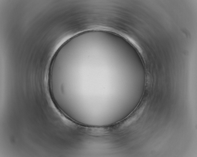 X0000113121007200909181645