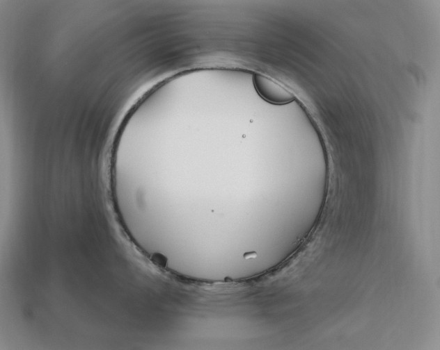 X0000113121008200909181645