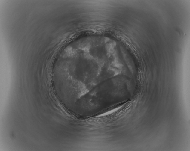 X0000113121009200909181644