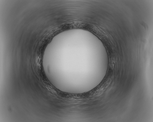 X0000113121010200909181644