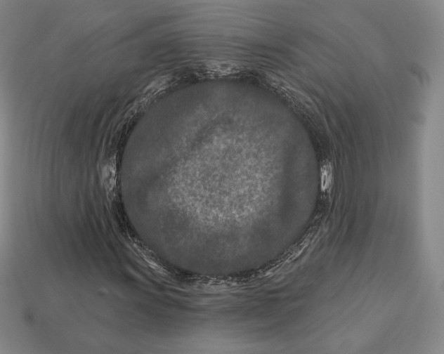 X0000113121011200909181644