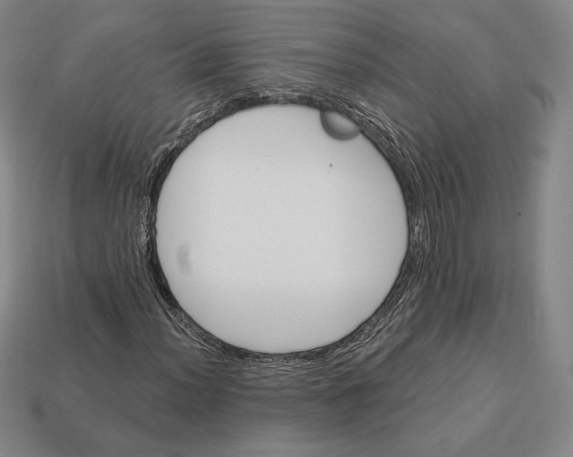 X0000113121012200909181644