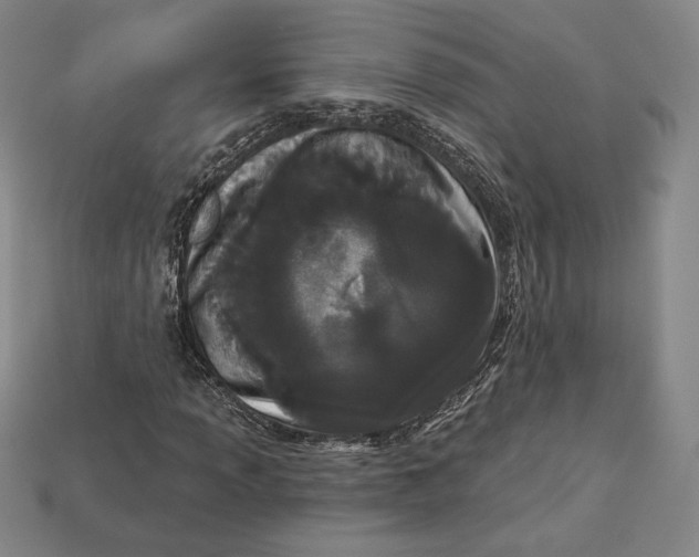 X0000113121013200909181644