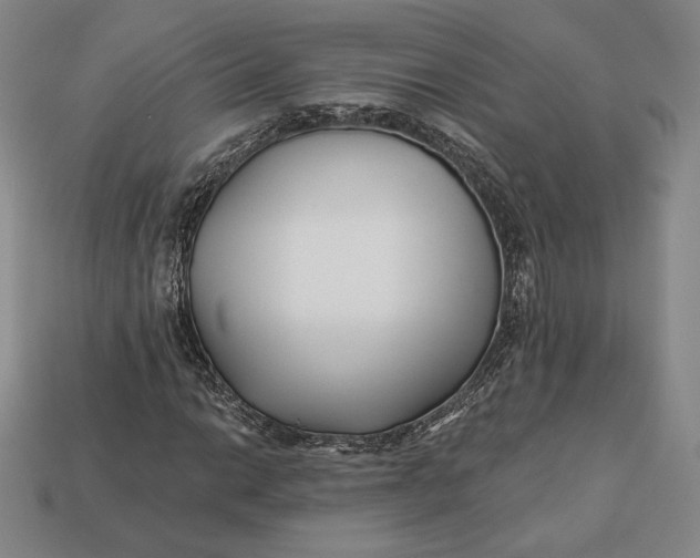 X0000113121014200909181644