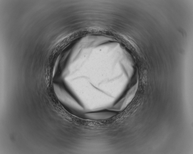 X0000113121015200909181644