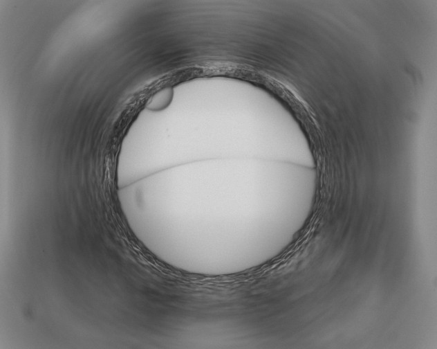 X0000113121016200909181644