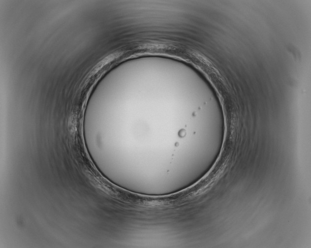 X0000113121017200909181644