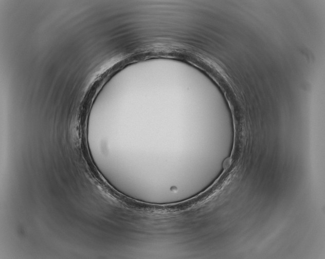 X0000113121018200909181644