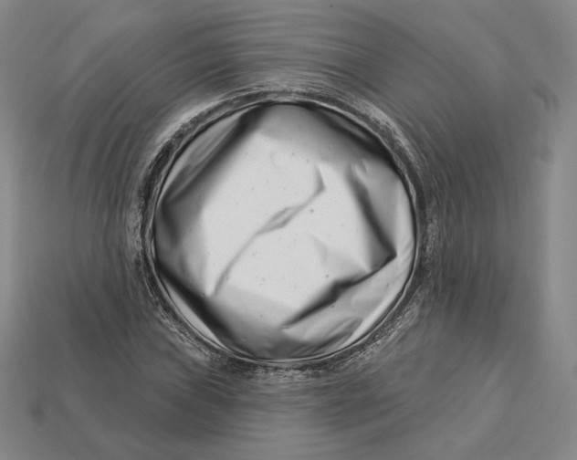 X0000113121019200909181644