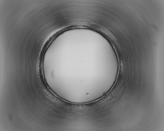 X0000113121020200909181644