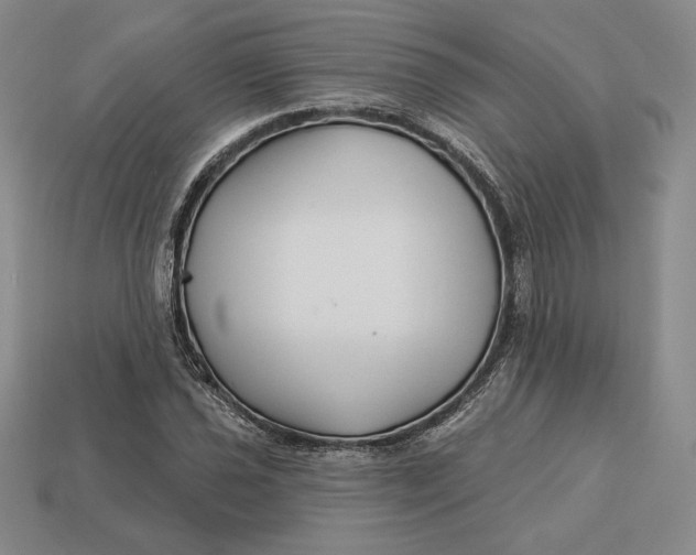 X0000113121021200909181644