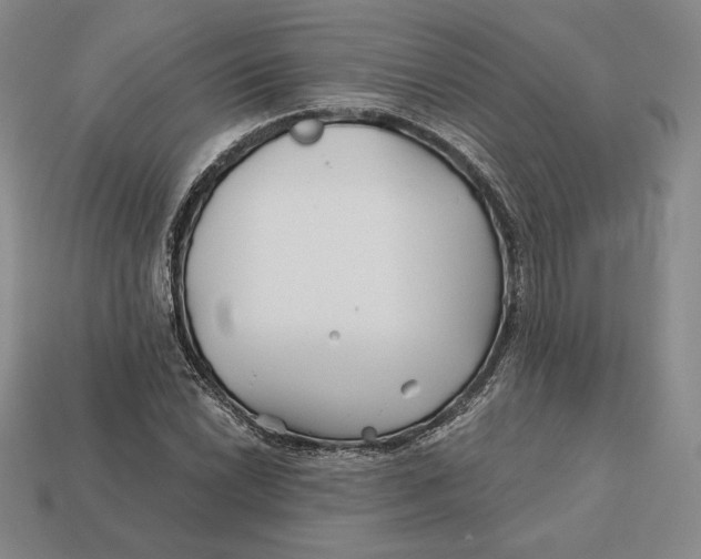 X0000113121022200909181644