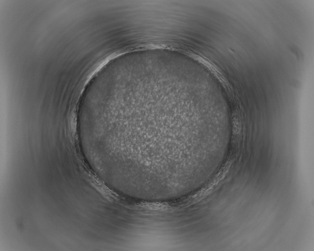 X0000113121023200909181644