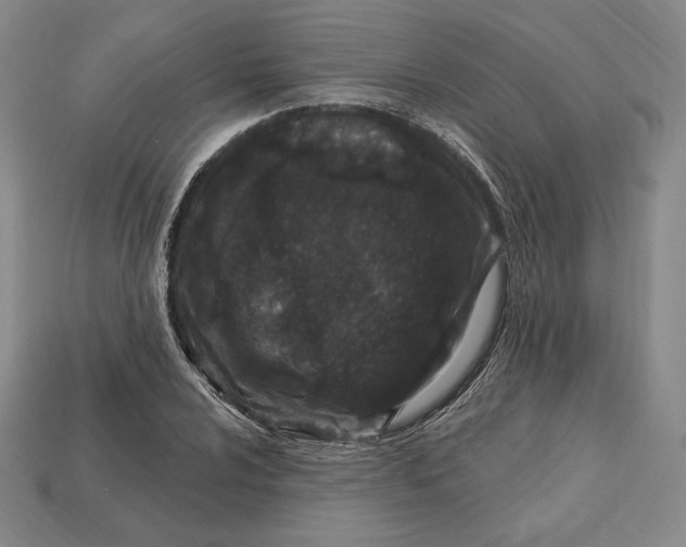 X0000113121024200909181644