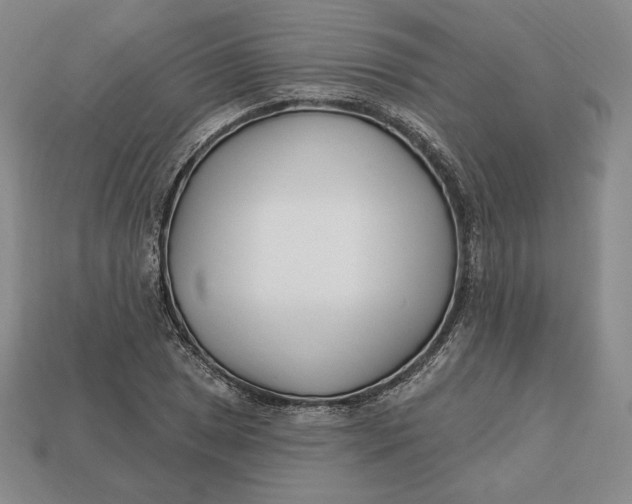 X0000113121025200909181644