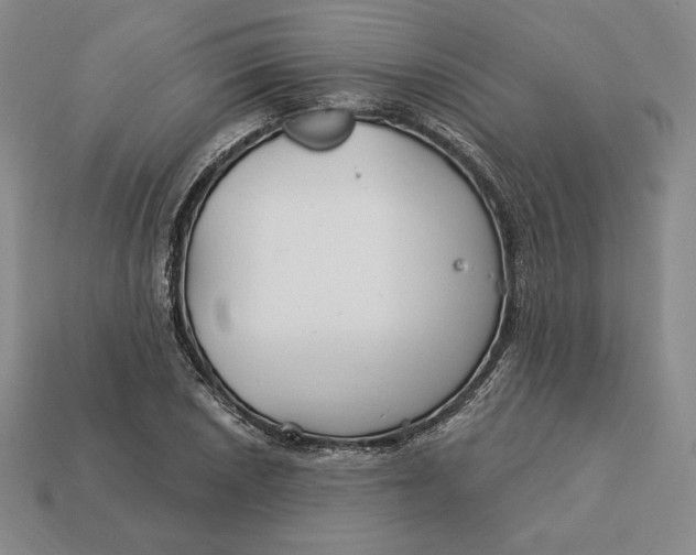 X0000113121026200909181644