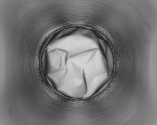 X0000113121027200909181644