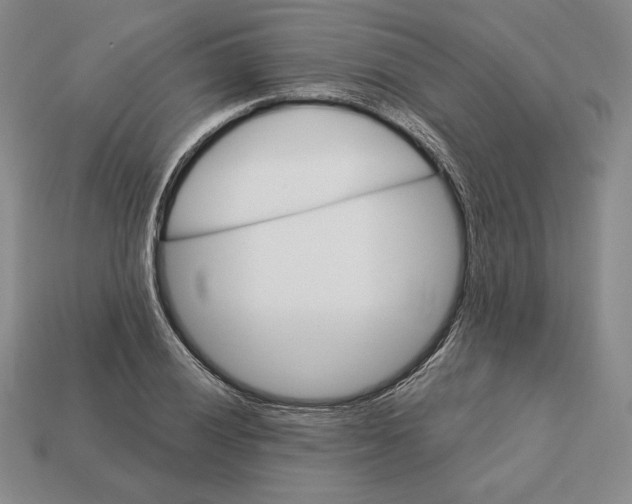 X0000113121028200909181644