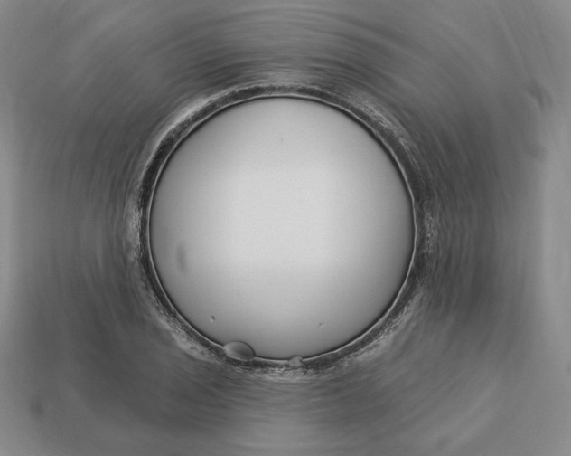 X0000113121029200909181644