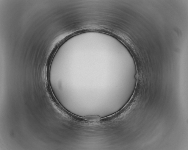 X0000113121030200909181644