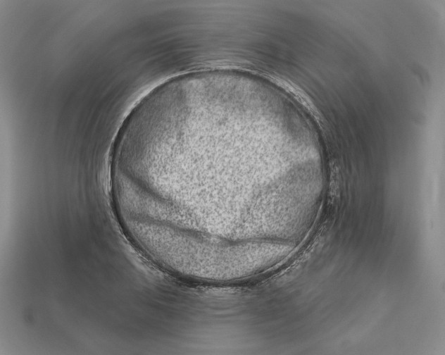 X0000113121031200909181644