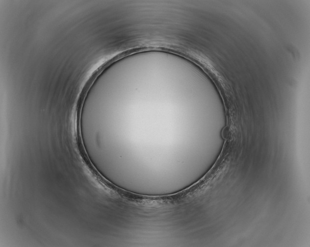 X0000113121032200909181644