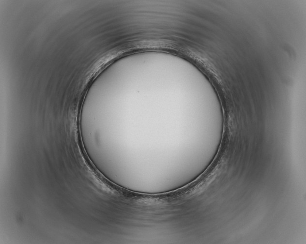 X0000113121033200909181644