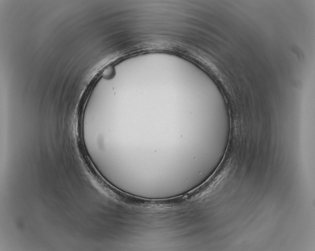 X0000113121034200909181644