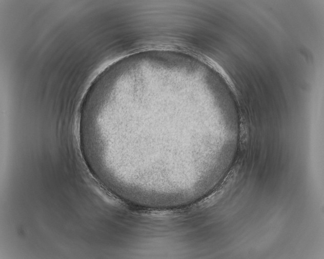 X0000113121035200909181644