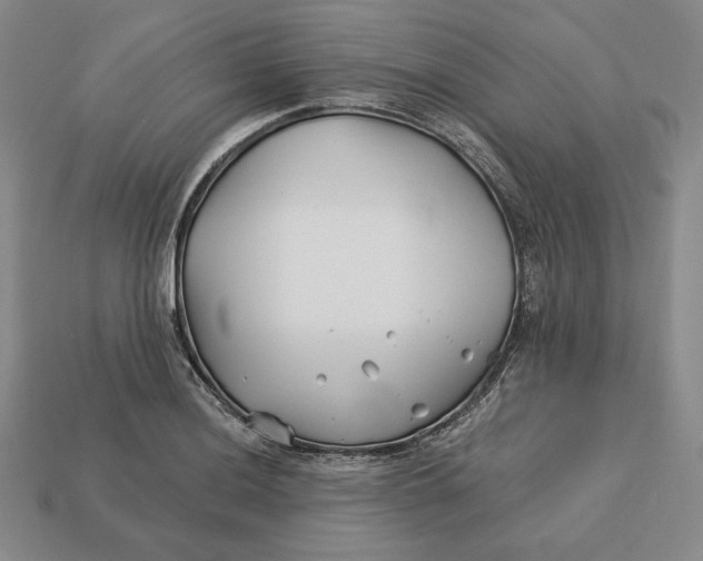 X0000113121036200909181644