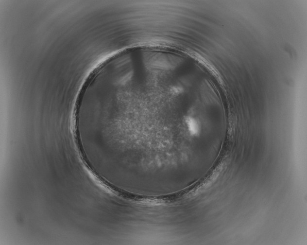 X0000113121037200909181644