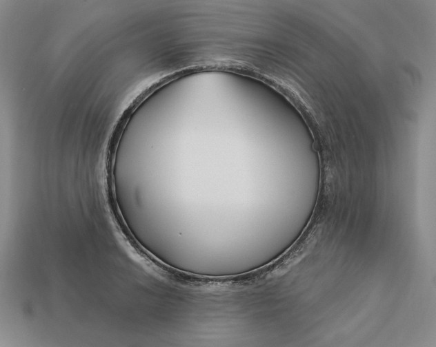 X0000113121038200909181644