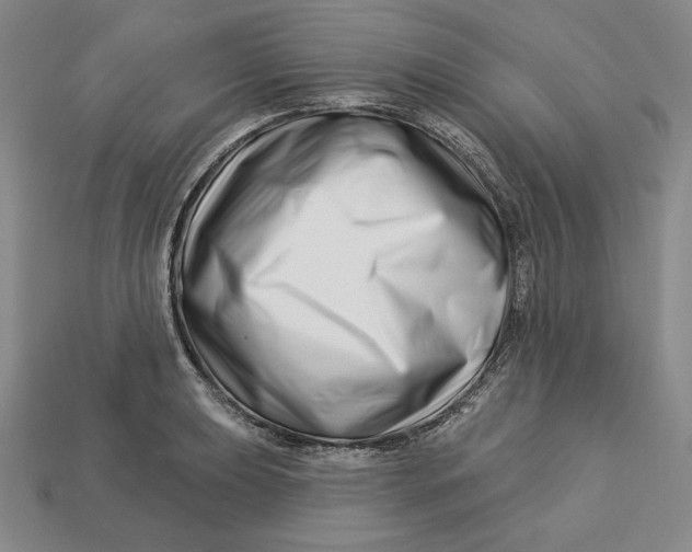 X0000113121039200909181644