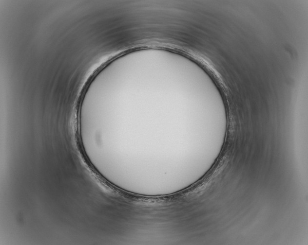 X0000113121040200909181644