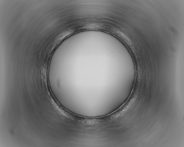 X0000113121041200909181644