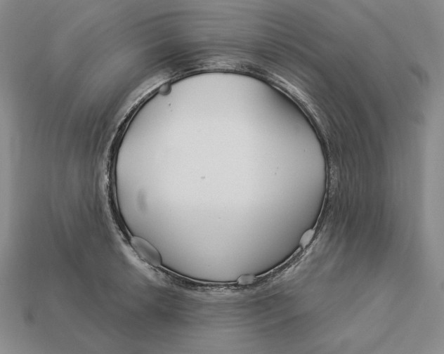 X0000113121042200909181644