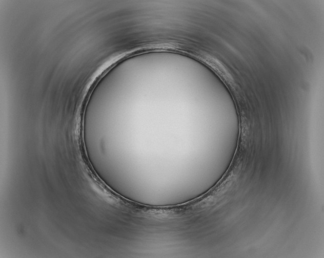 X0000113121044200909181645