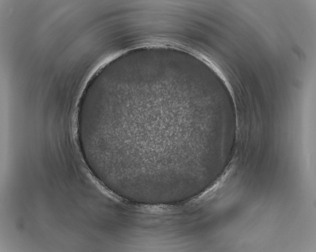 X0000113121045200909181645