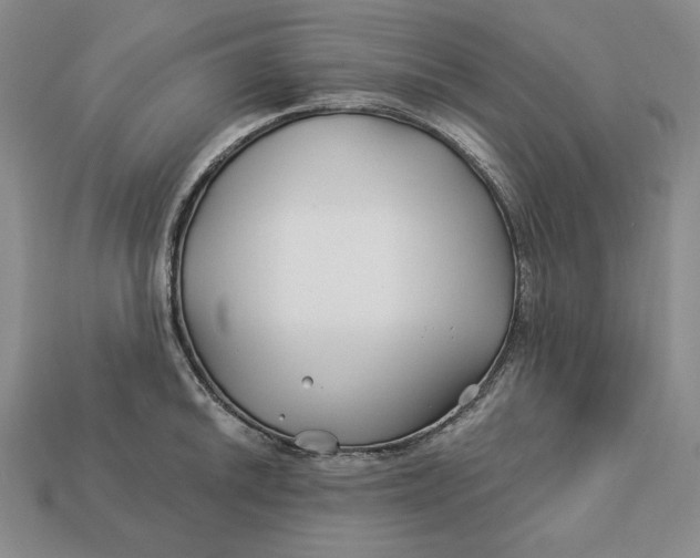 X0000113121046200909181645