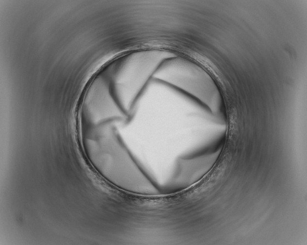 X0000113121047200909181645