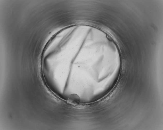 X0000113121048200909181645