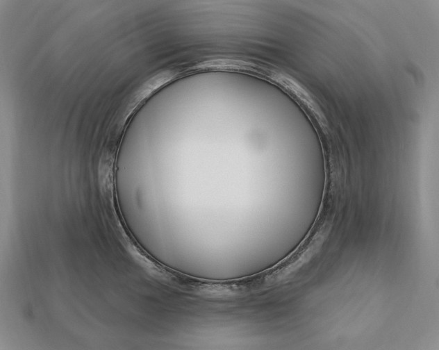 X0000113121049200909181645