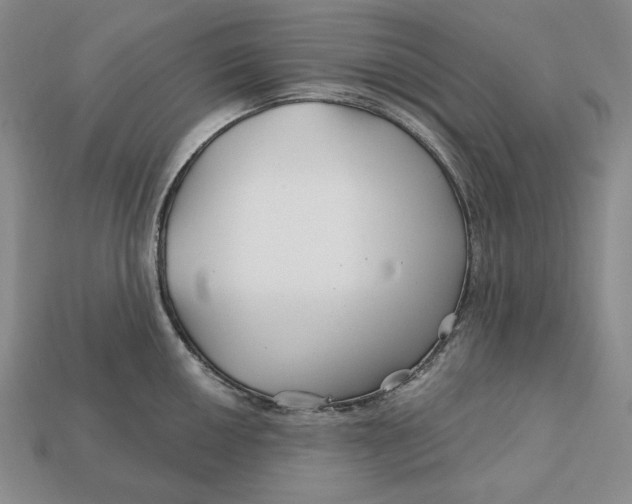 X0000113121050200909181645