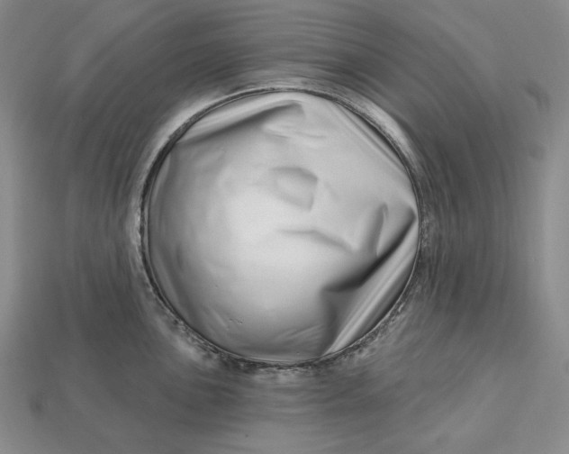 X0000113121051200909181645