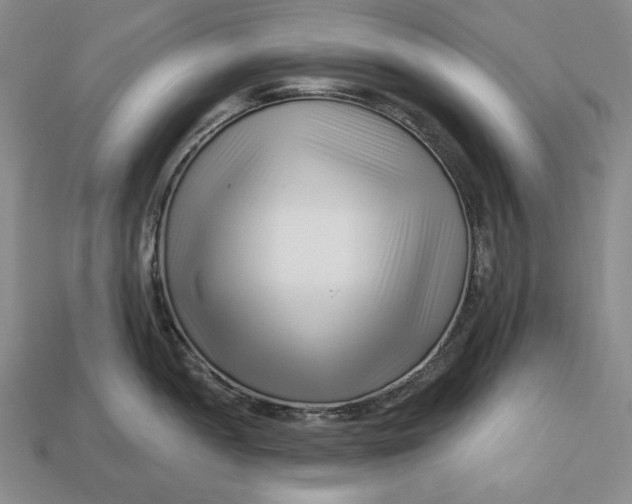 X0000113121052200909181645